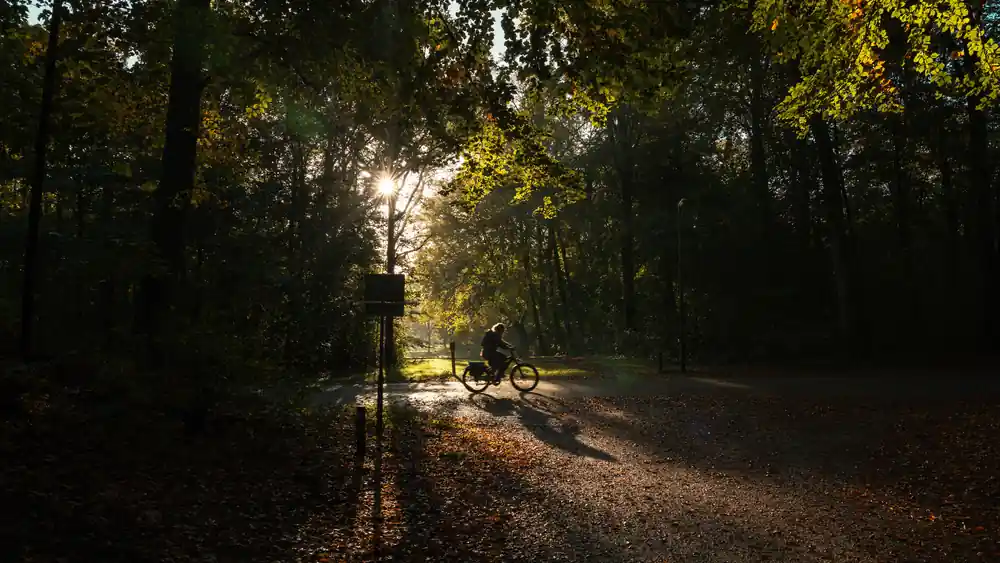 Cyclist riding on a quiet cycle path in the UK countryside