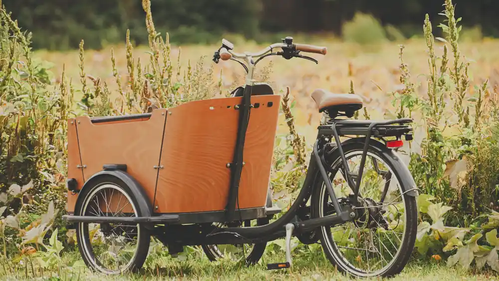 Electric cargo bike with child seats in urban setting